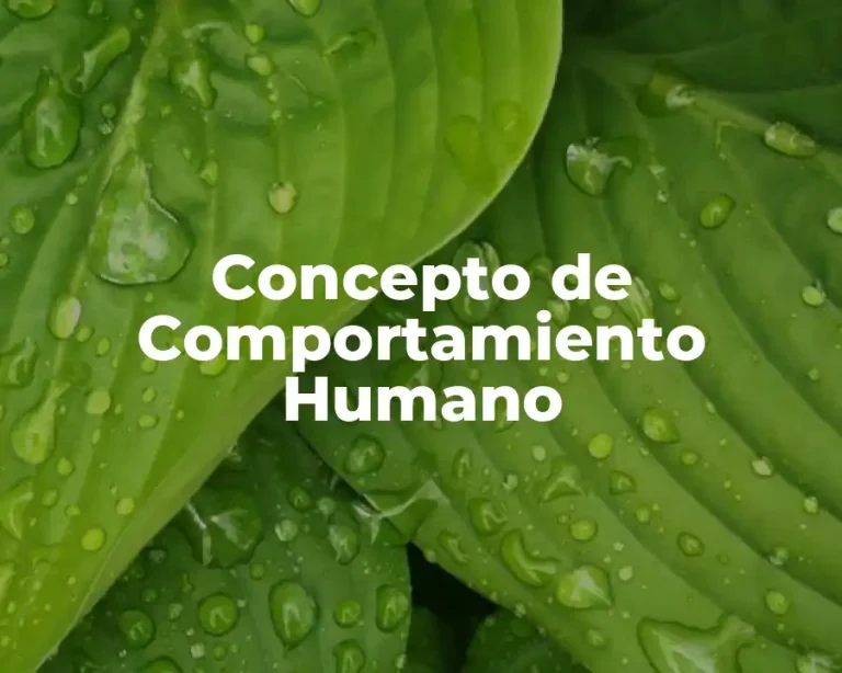 Concepto de Comportamiento Humano