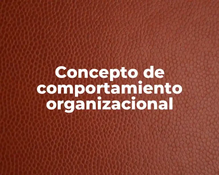 Concepto de comportamiento organizacional