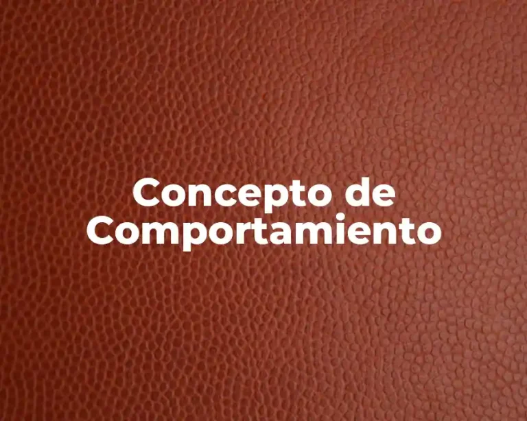 Concepto de Comportamiento