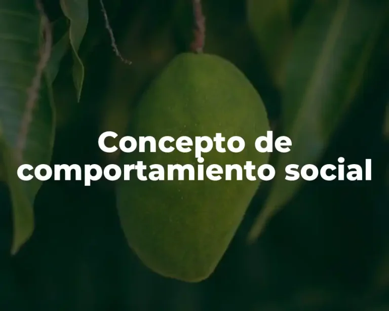 Concepto de comportamiento social