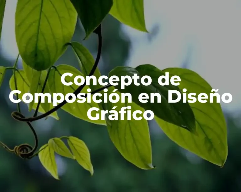 Concepto de Composición en Diseño Gráfico