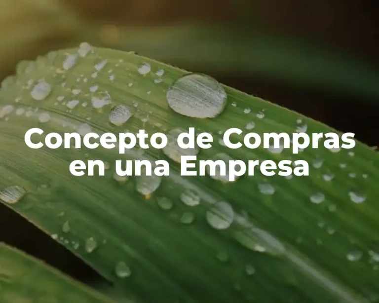 Concepto de Compras en una Empresa