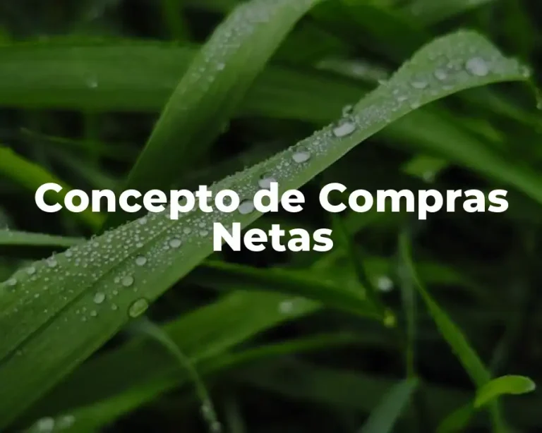 Concepto de Compras Netas