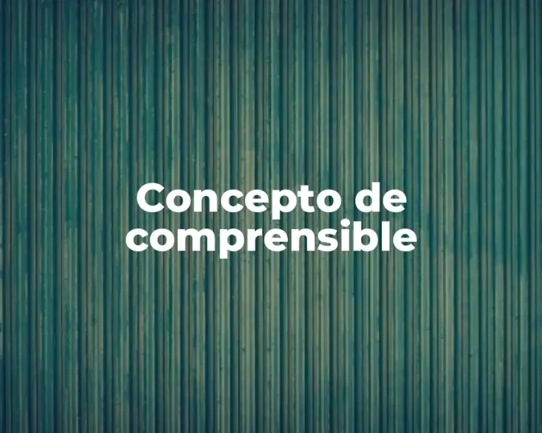 Concepto de comprensible