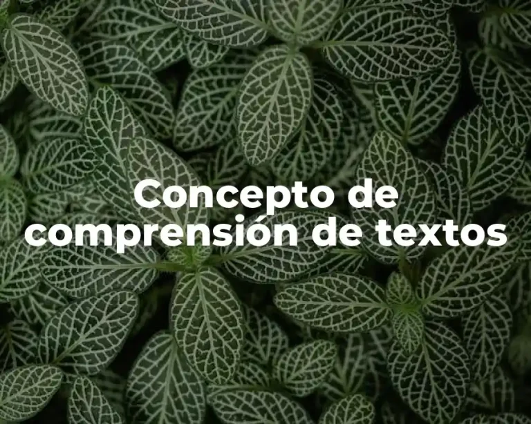 Concepto de comprensión de textos