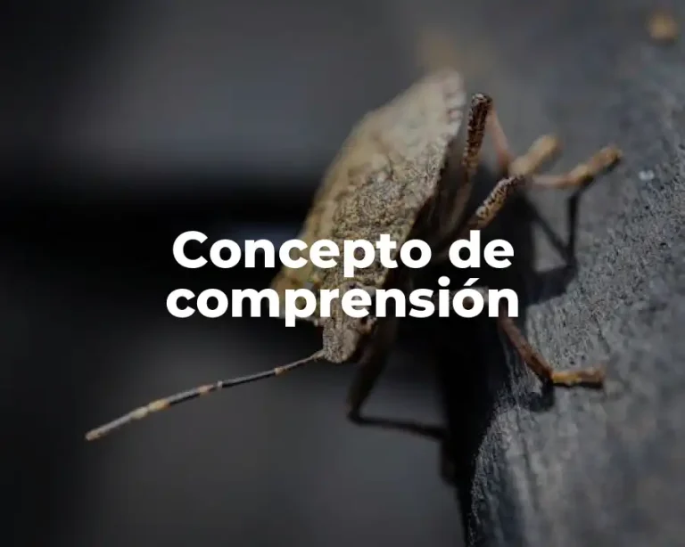 Concepto de comprensión