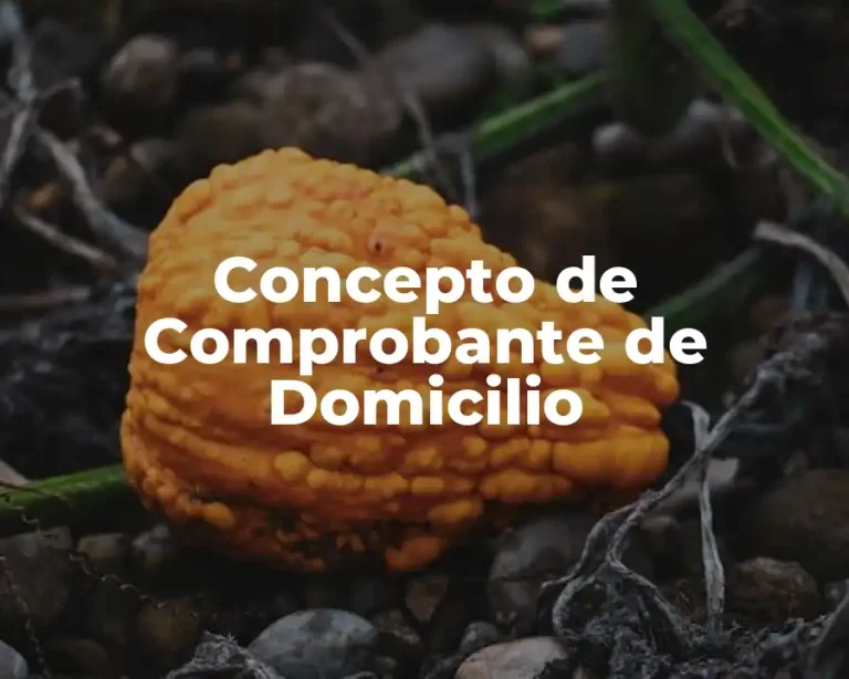 Concepto de Comprobante de Domicilio