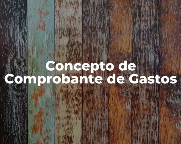 Concepto de Comprobante de Gastos