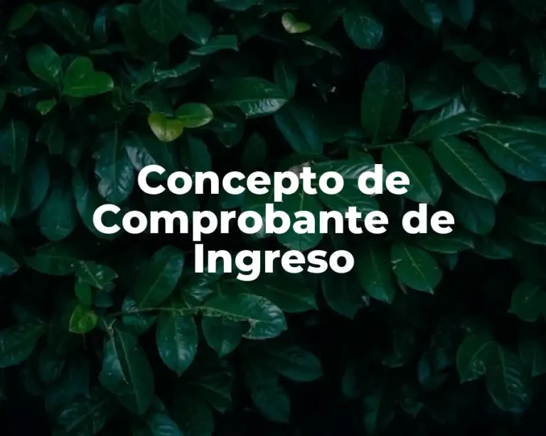Concepto de Comprobante de Ingreso
