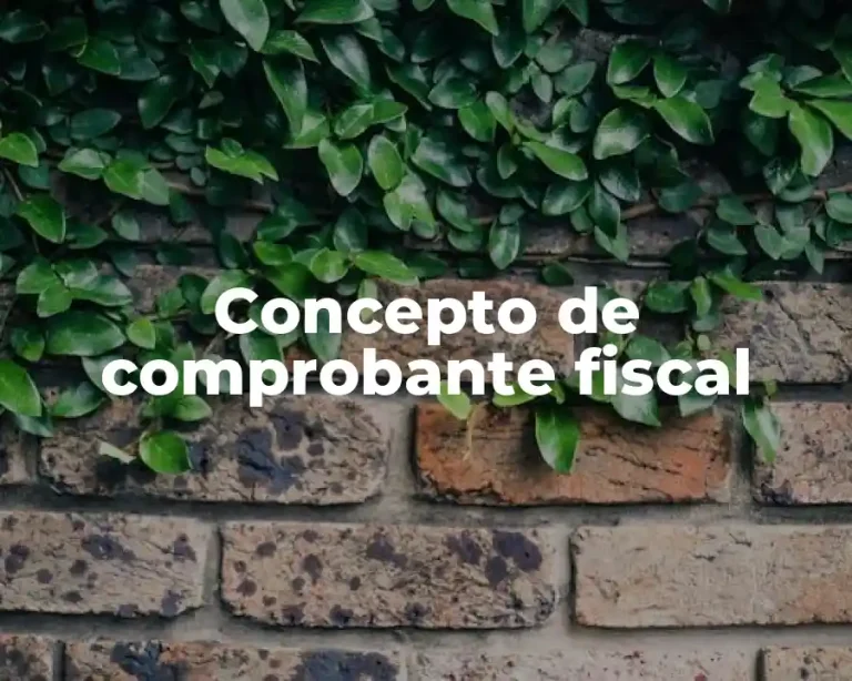 Concepto de comprobante fiscal
