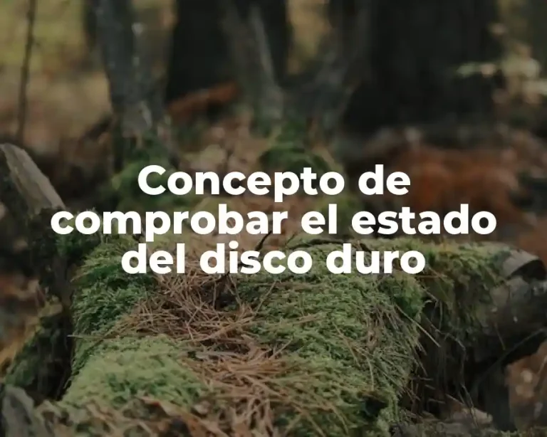 Concepto de comprobar el estado del disco duro
