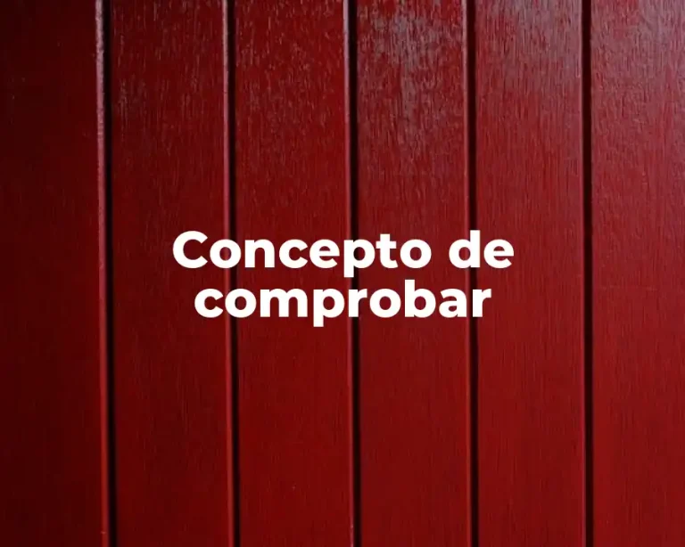 Concepto de comprobar