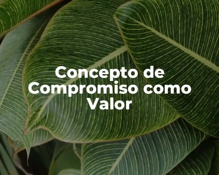 Concepto de Compromiso como Valor