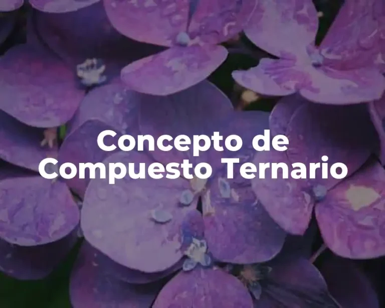 Concepto de Compuesto Ternario