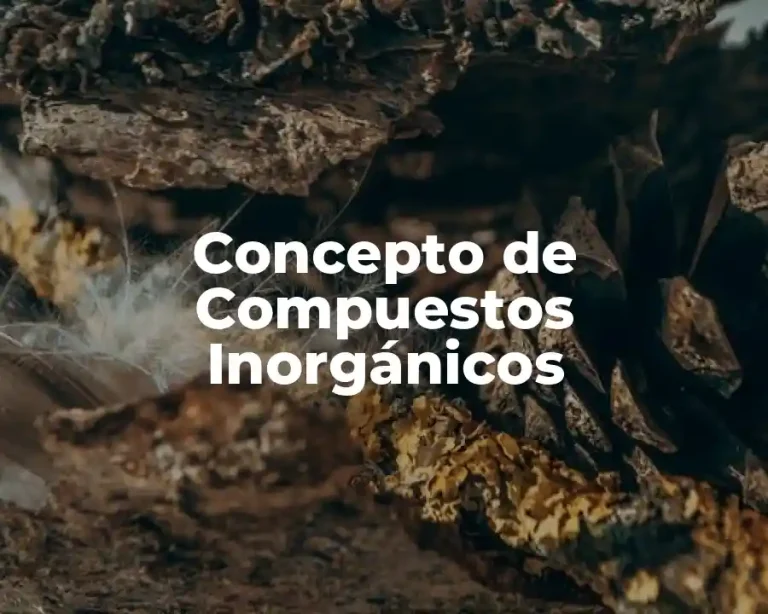 Concepto de Compuestos Inorgánicos