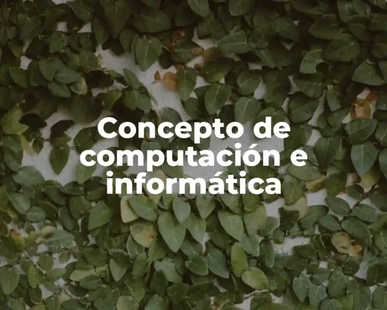 Concepto de computación e informática