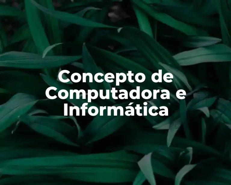 Concepto de Computadora e Informática