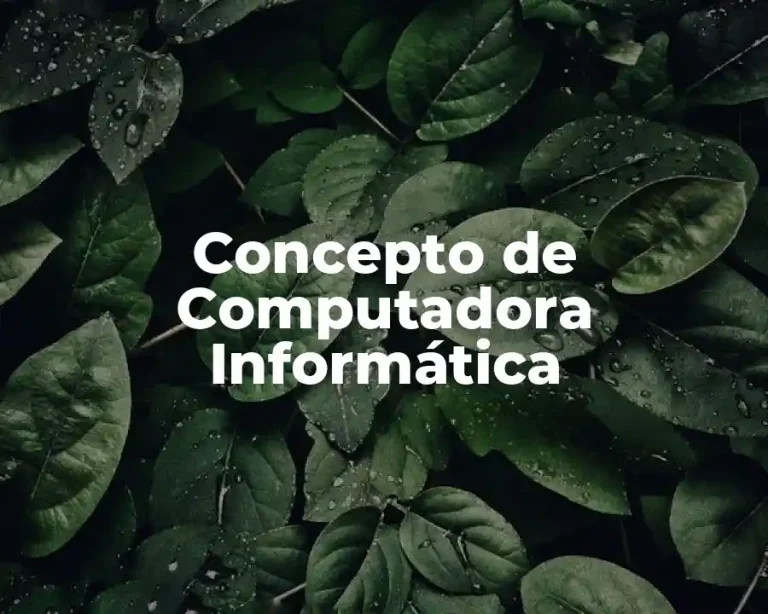 Concepto de Computadora Informática