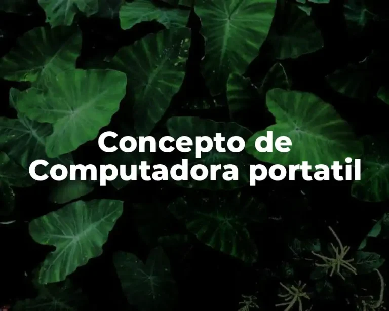 Concepto de Computadora portatil