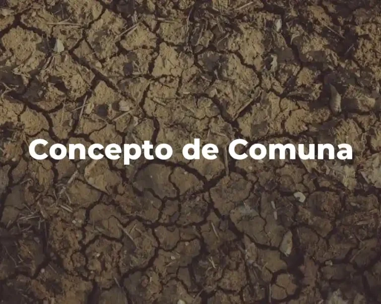 Concepto de Comuna
