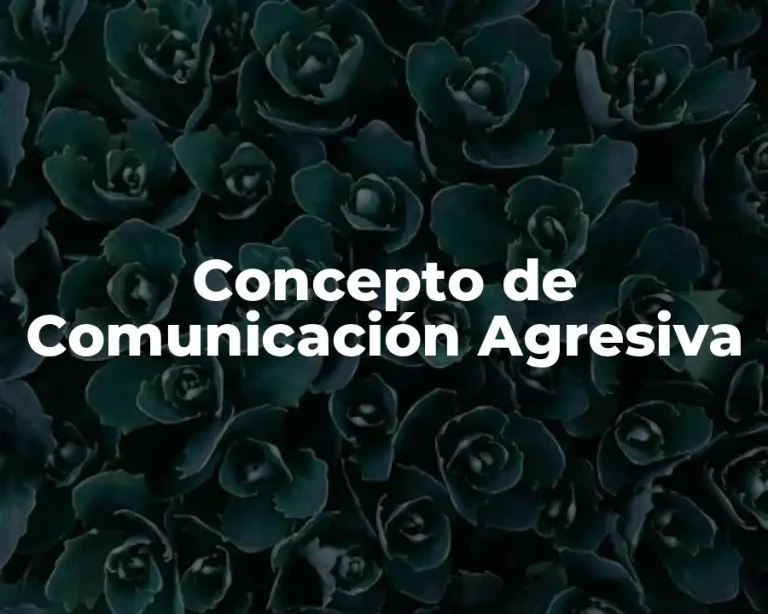 Concepto de Comunicación Agresiva