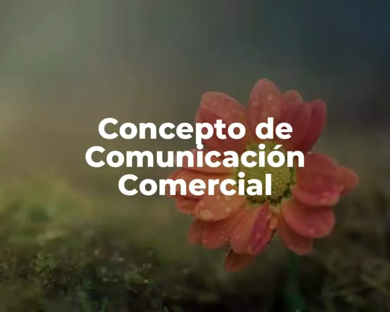 Concepto de Comunicación Comercial