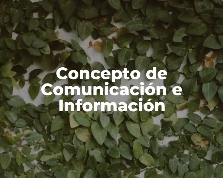 Concepto de Comunicación e Información