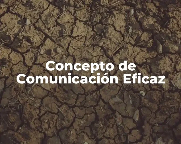 Concepto de Comunicación Eficaz