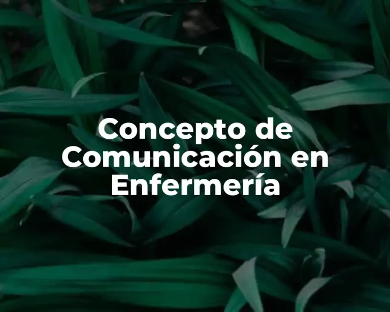 Concepto de Comunicación en Enfermería