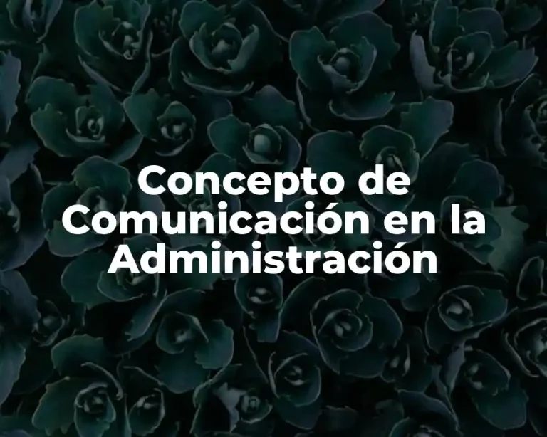 Concepto de Comunicación en la Administración