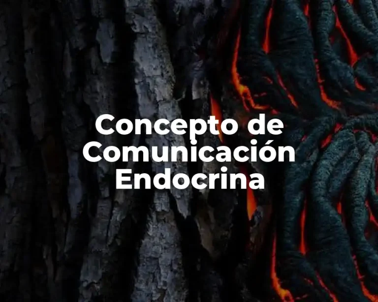 Concepto de Comunicación Endocrina