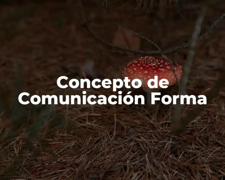Concepto de Comunicación Forma