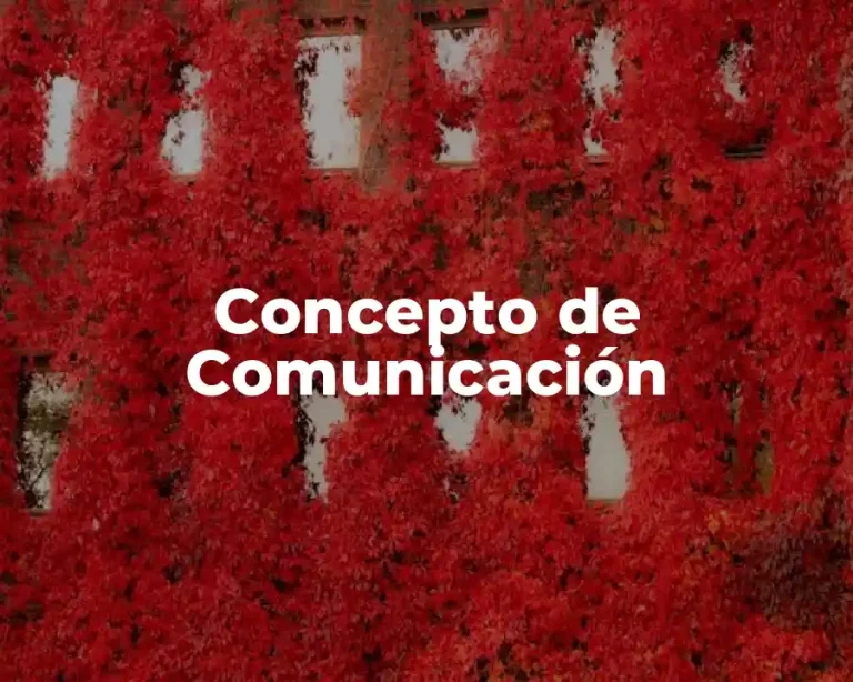 Concepto de Comunicación