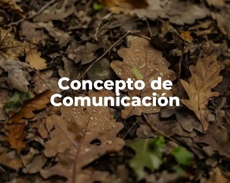 Concepto de Comunicación