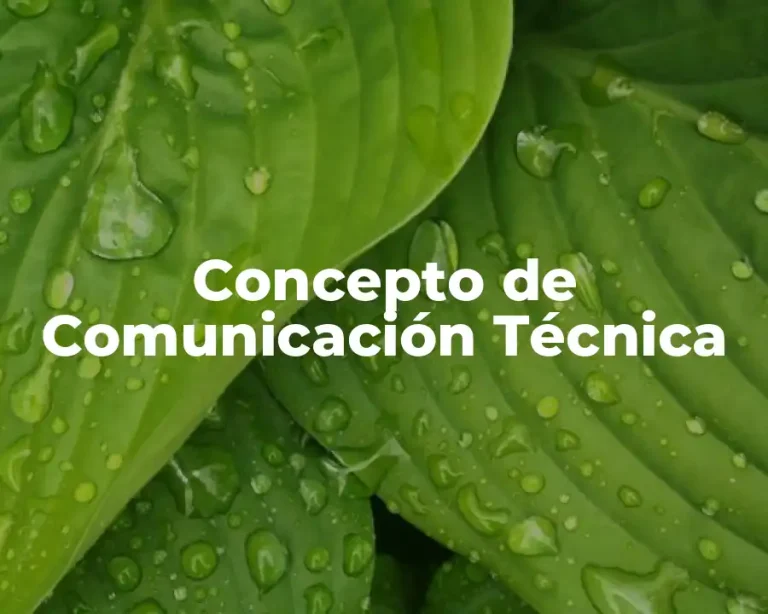 Concepto de Comunicación Técnica