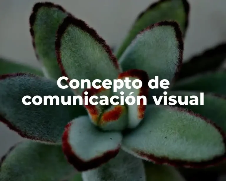 Concepto de comunicación visual