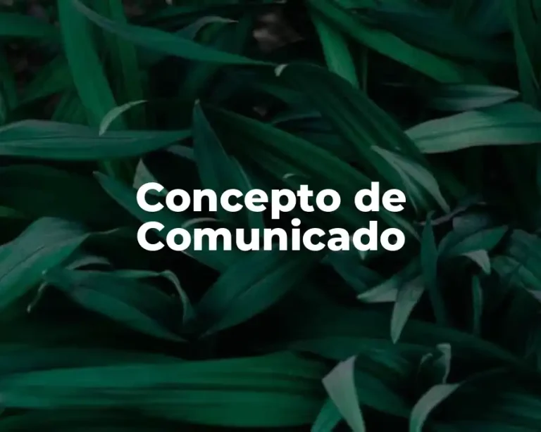 Concepto de Comunicado
