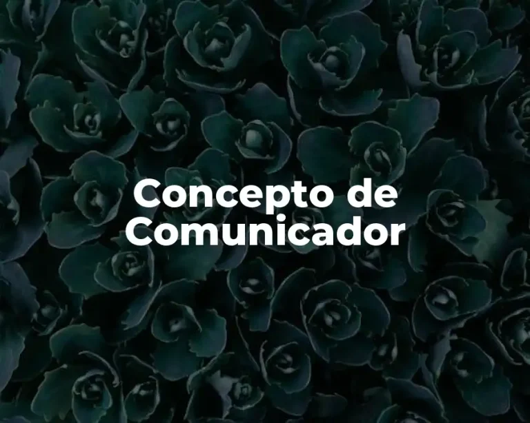 Concepto de Comunicador