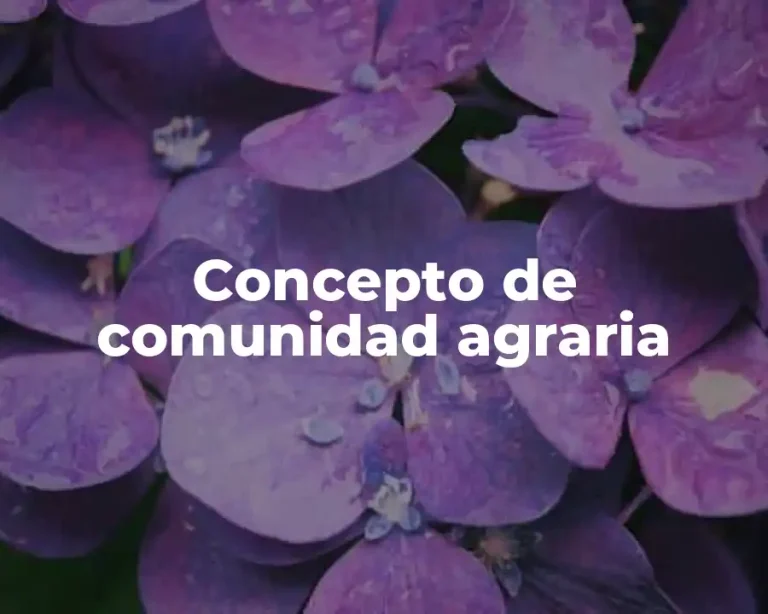 Concepto de comunidad agraria