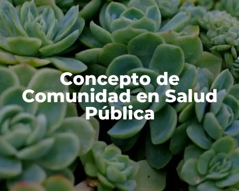 Concepto de Comunidad en Salud Pública