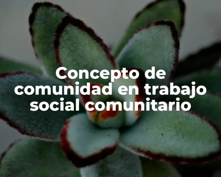Concepto de comunidad en trabajo social comunitario