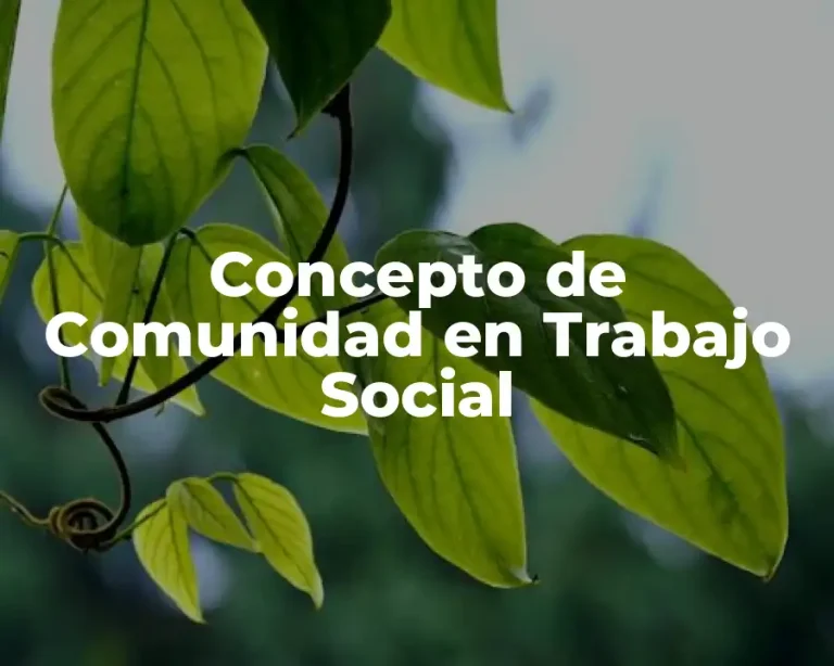 Concepto de Comunidad en Trabajo Social