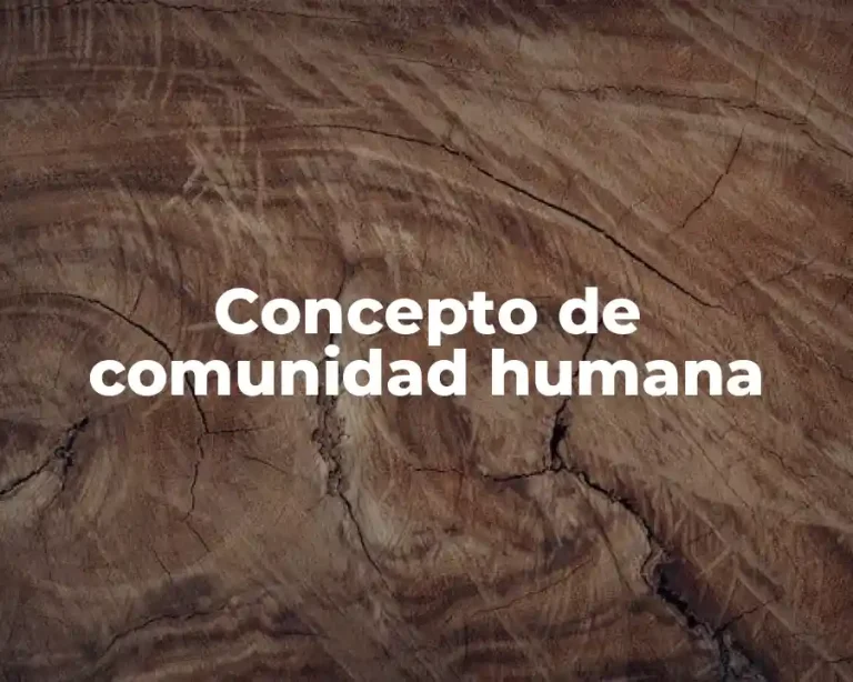 Concepto de comunidad humana
