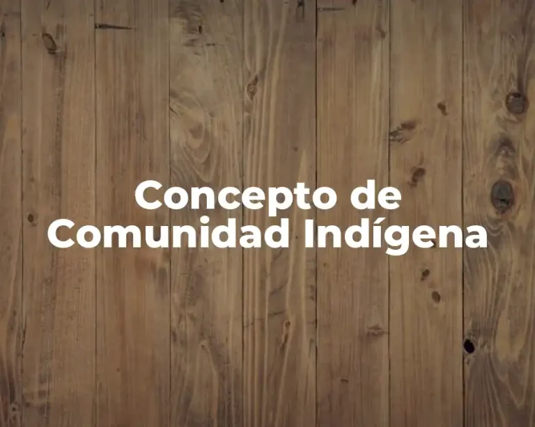 Concepto de Comunidad Indígena