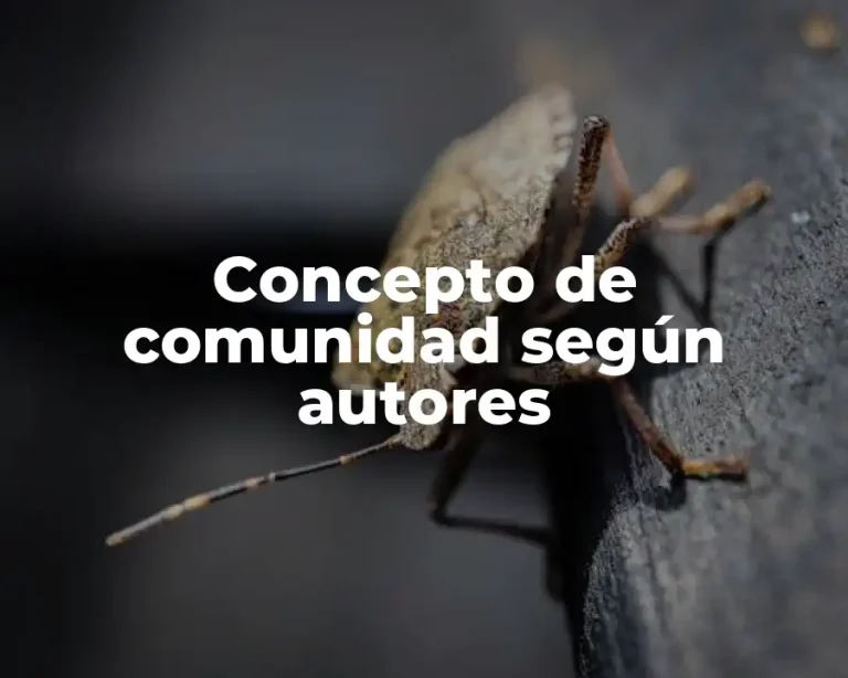 Concepto de comunidad según autores