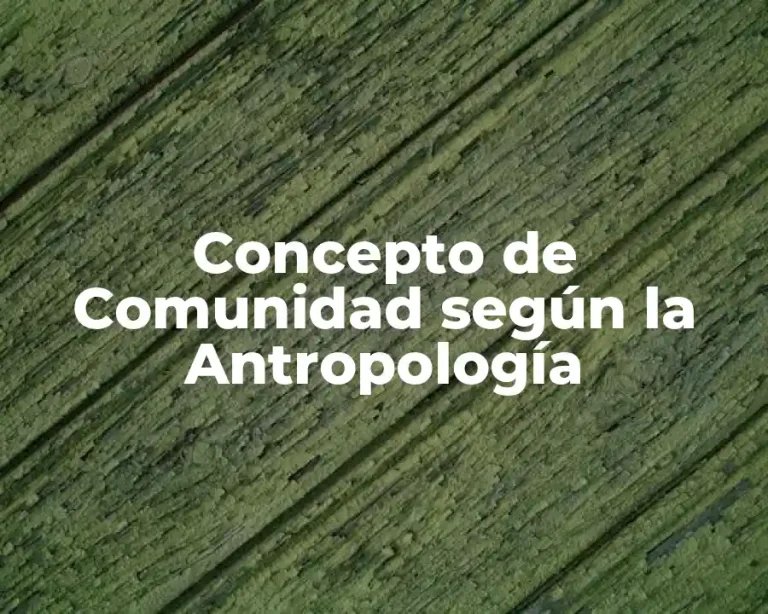 Concepto de Comunidad según la Antropología