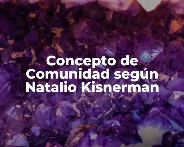 Concepto de Comunidad según Natalio Kisnerman