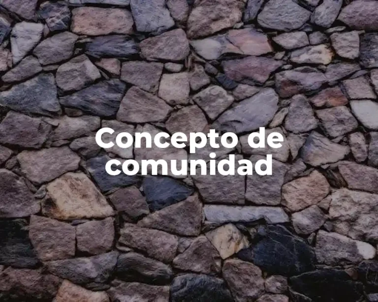 Concepto de comunidad