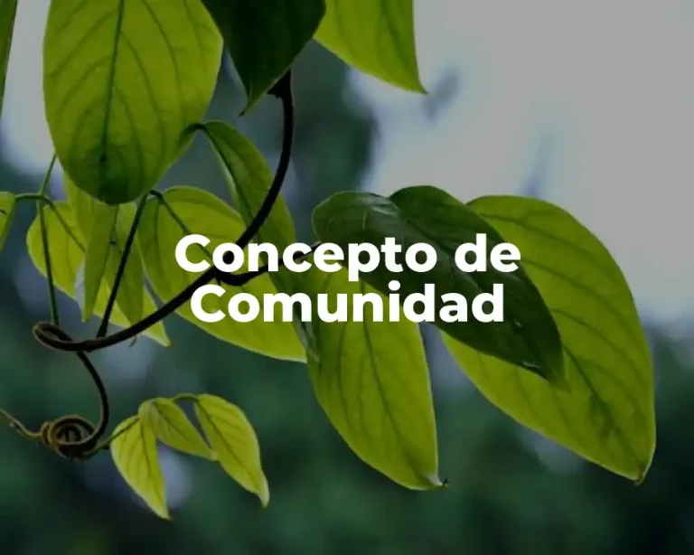 Concepto de Comunidad