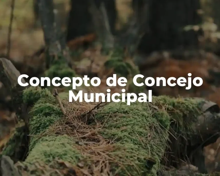 Concepto de Concejo Municipal